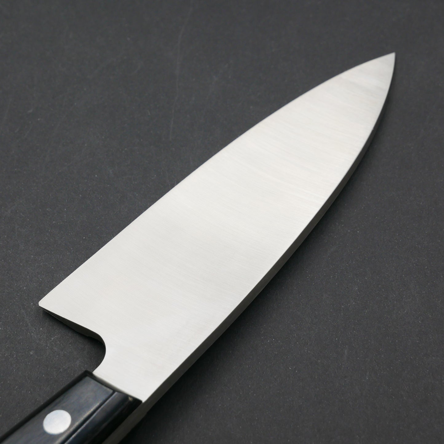 Molybdenum Steel Deba (No Bolster)