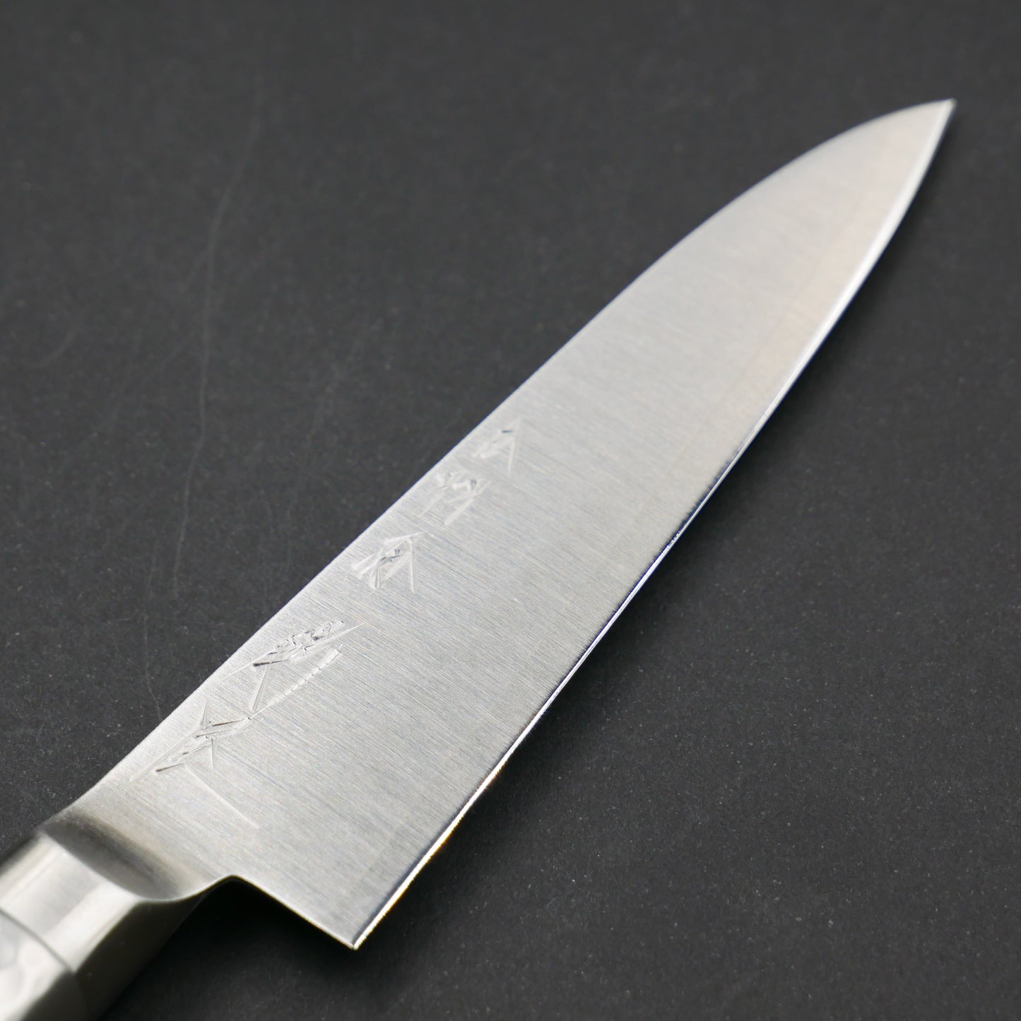 Molybdenum Steel Petty Stainless Steel Handle