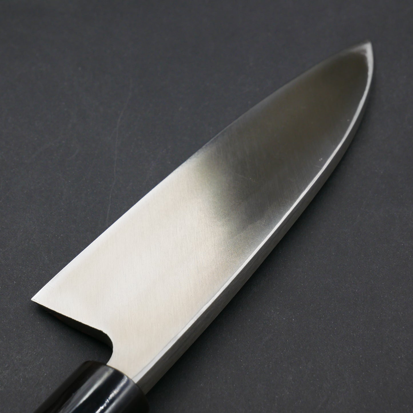 Molybdenum Steel Deba Magnolia handle