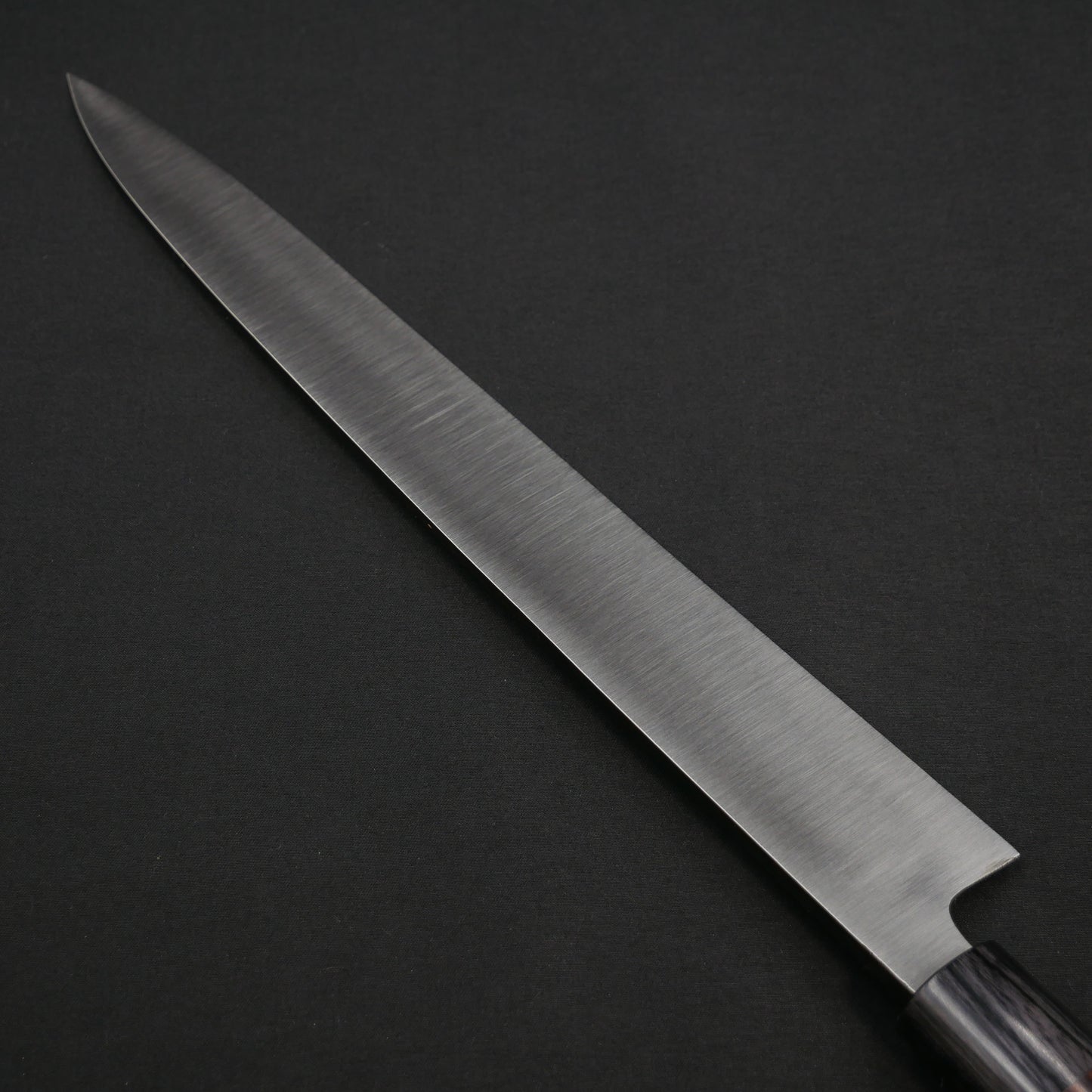 "Tanegashima" Blue#2 Carbon Steel Yanagiba Rosewood Handle (For Left-Handed)